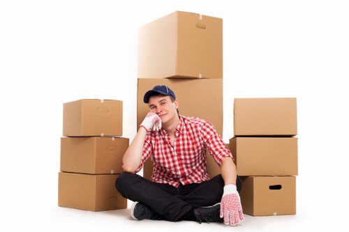 Risk assessment review in a professional storage environment